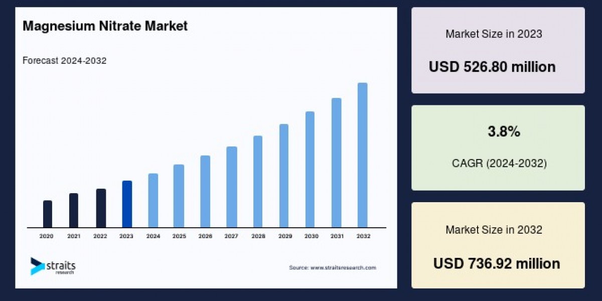 Magnesium Nitrate Market Outlook: Growth Drivers, Trends, and Regional Insights