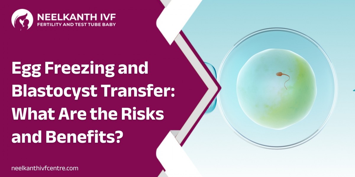 Egg Freezing and Blastocyst Transfer: What Are the Risks and Benefits?