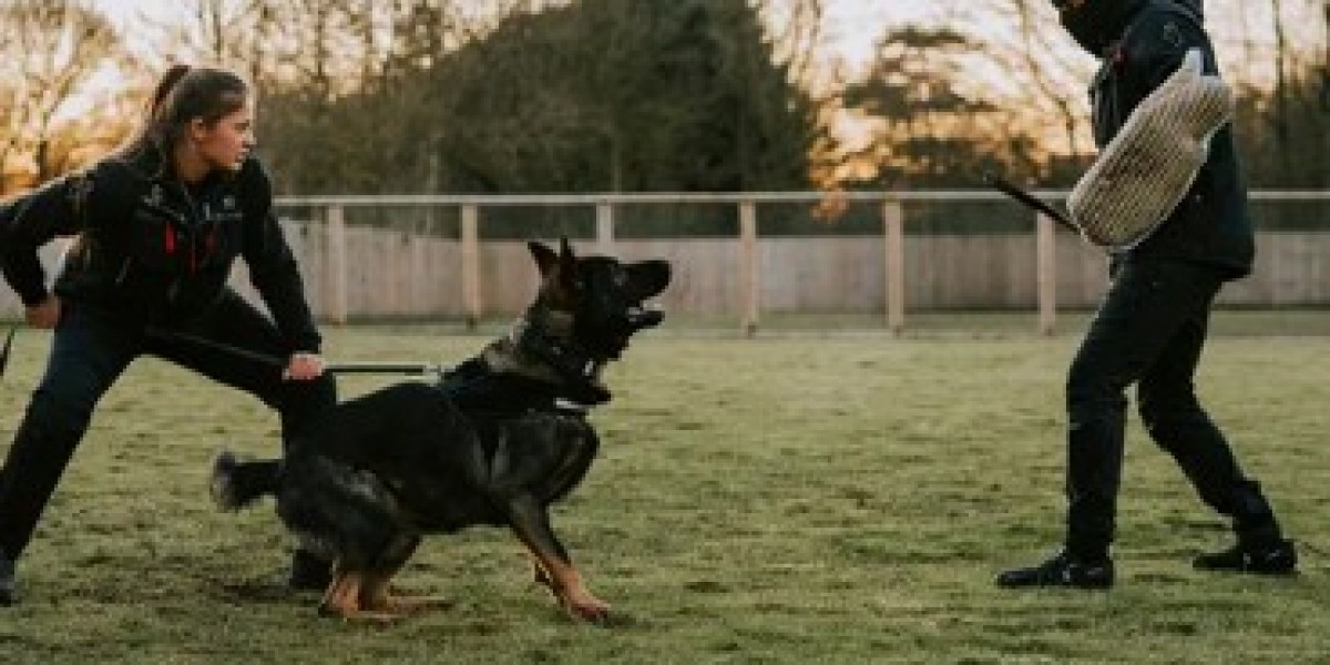 Trained Protection Dogs: Loyal Guardians for Your Home and Family