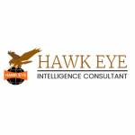 Hawk Eye Security and Detective Agency Pvt Ltd