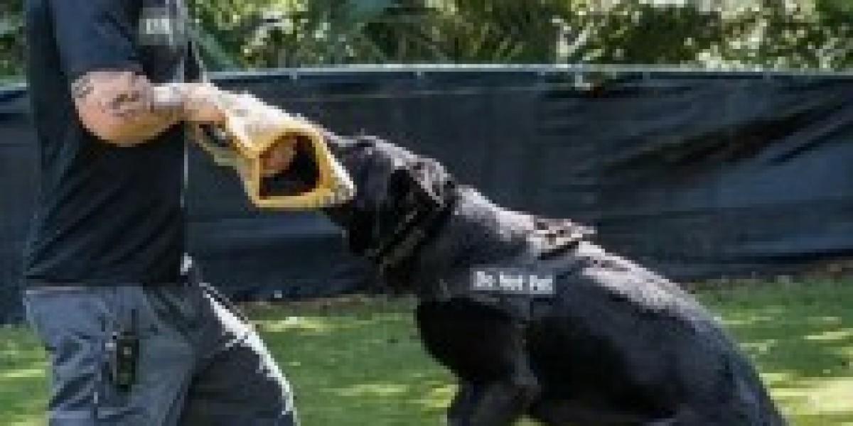 Protection Dogs: The Ultimate Guardians for Your Home and Family