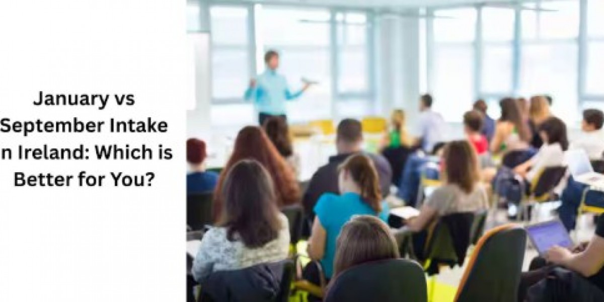 January vs September Intake in Ireland: Which is Better for You?