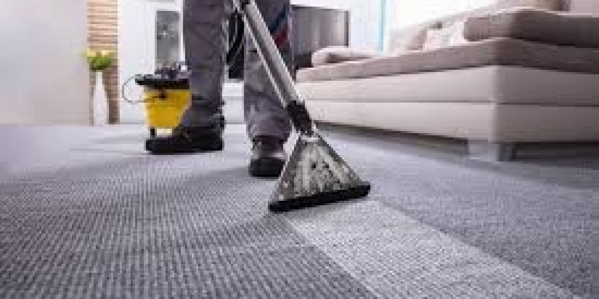 Carpet Cleaning Services That Fix Water Damage Fast