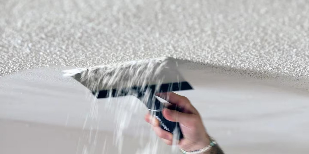 Popcorn Removal Companies Holiday, FL