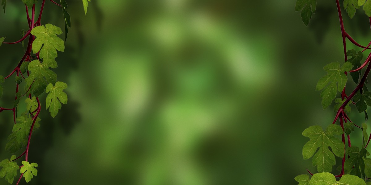 Fast Online Payday Loans No Credit Check: A Case Research