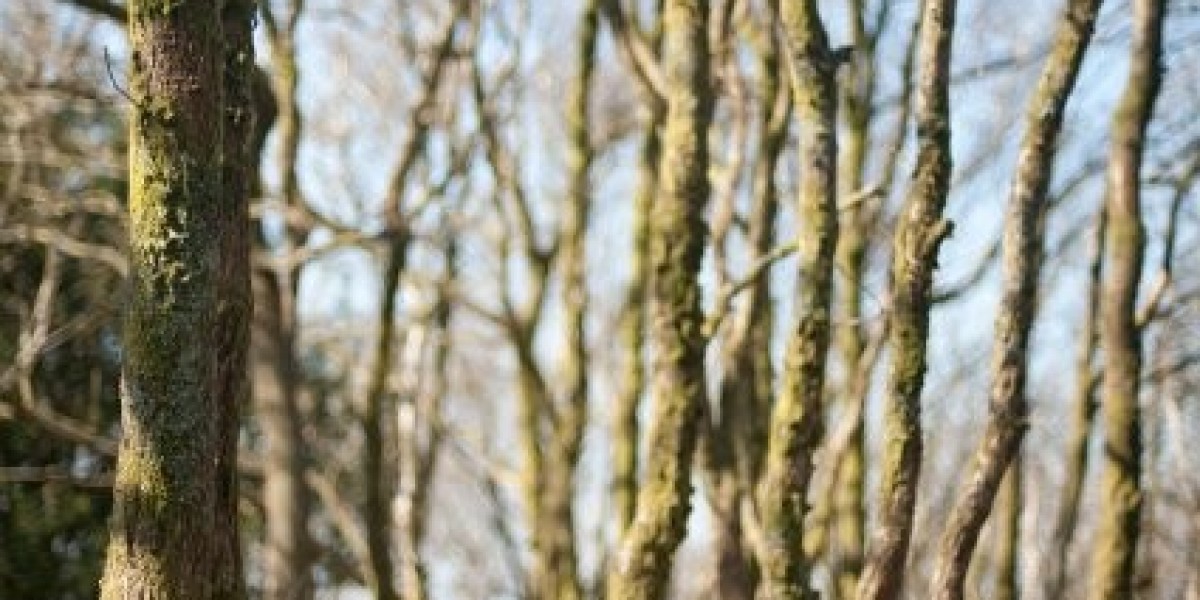 Human Growth Hormone: HGH Vorteile, Verwendungen und Nebenwirkungen