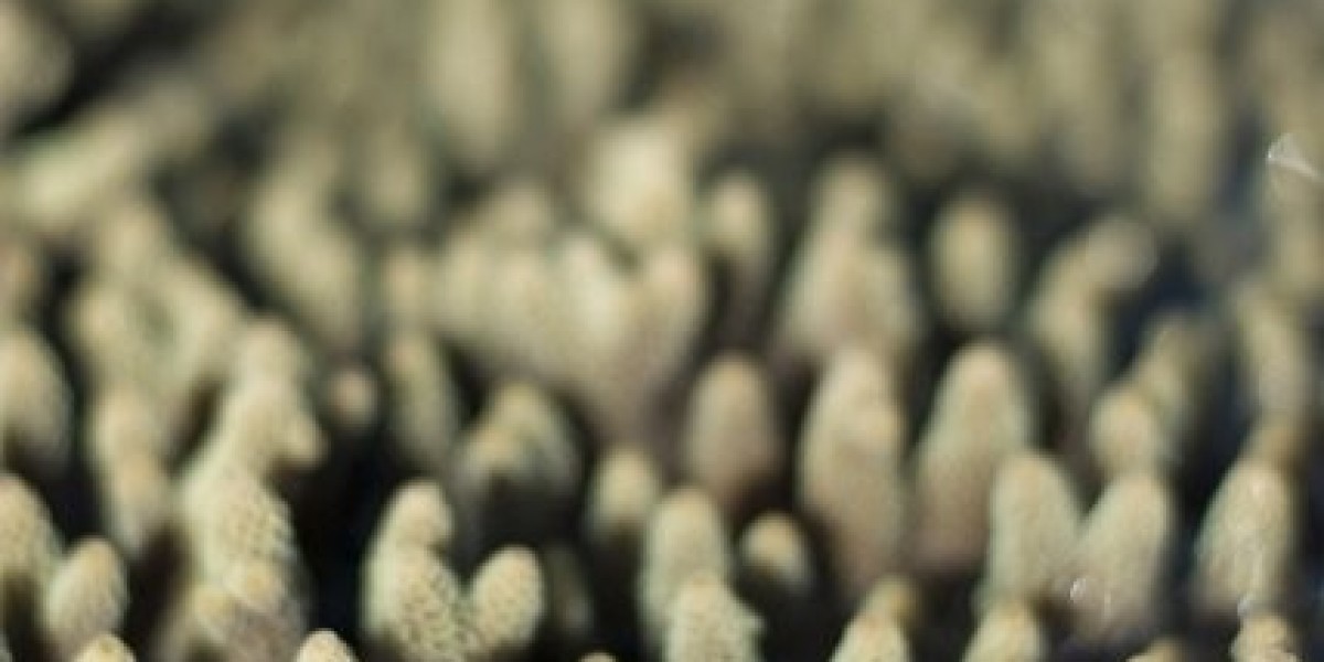 HPV: Why Nearly Everyone Contracts It—and What That Means for Your Health