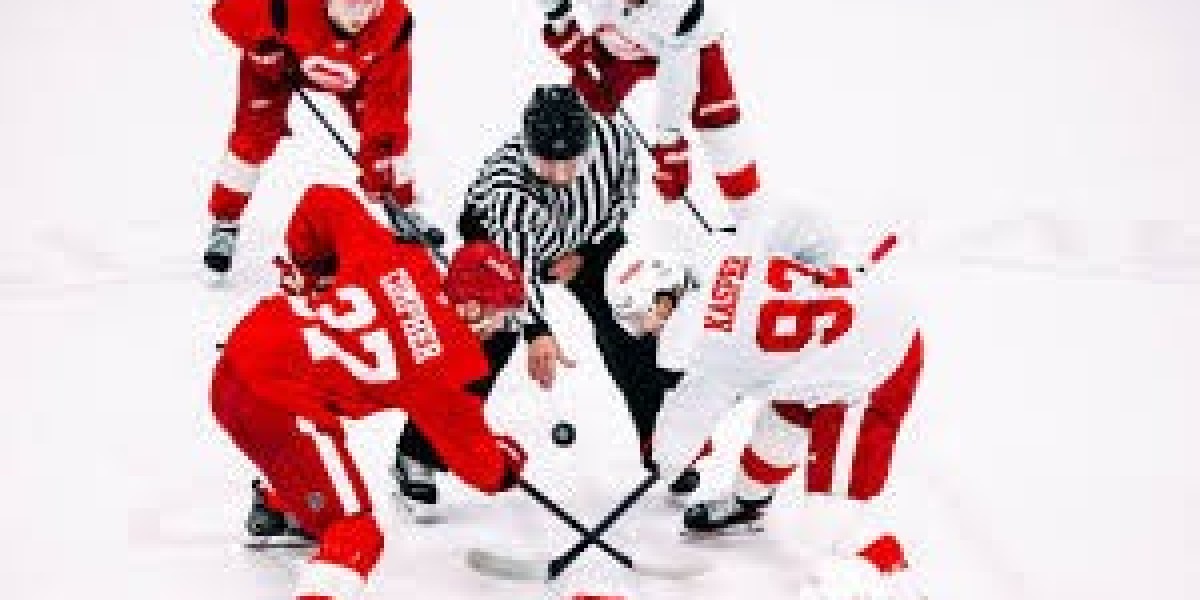 McLellans debut at the rear of Pink Wings bench spoiled within just 5-2 decline toward Maple Leafs