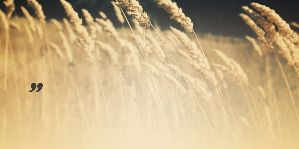 Buying Gold Bullion Online: A Comprehensive Guide to Present Trends And Options