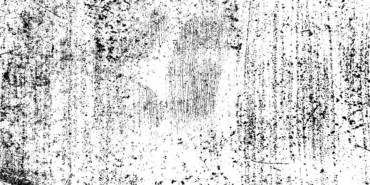 Understanding Loan Approval Without Credit Check: A Comprehensive Evaluation