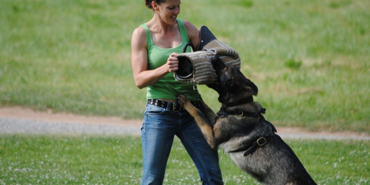Trained Guard Dogs and Protection Dog Cost: What You Need to Know Before Investing in a Canine Protector
