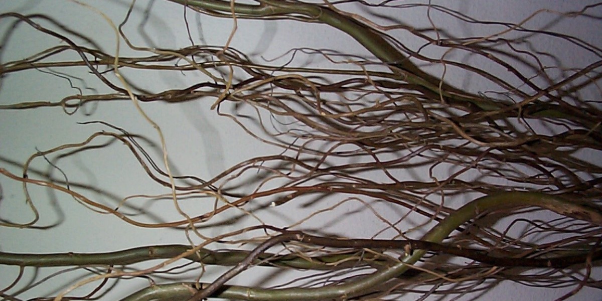 Wachstumshormon