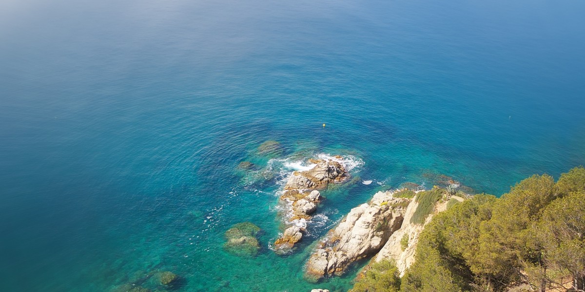 Fast Loans Without Credit Check: A Case Study of Accessibility And Risks