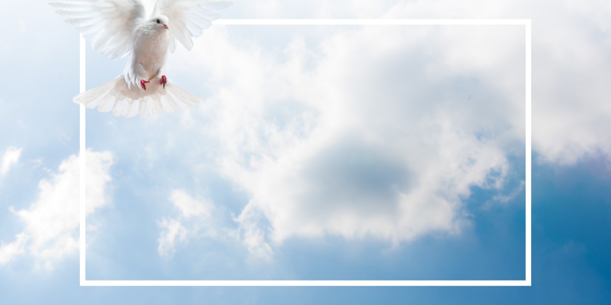 Best Gold IRA Companies: A Complete Research