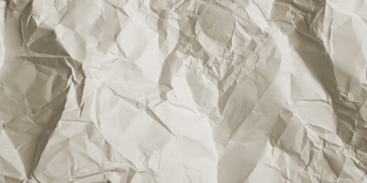 Understanding Borrow Loans with No Credit Check