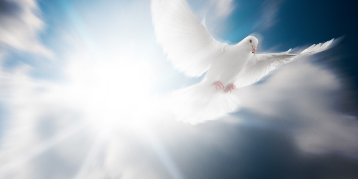 Exploring the Benefits Of Gold IRA Accounts: A Modern Funding Strategy