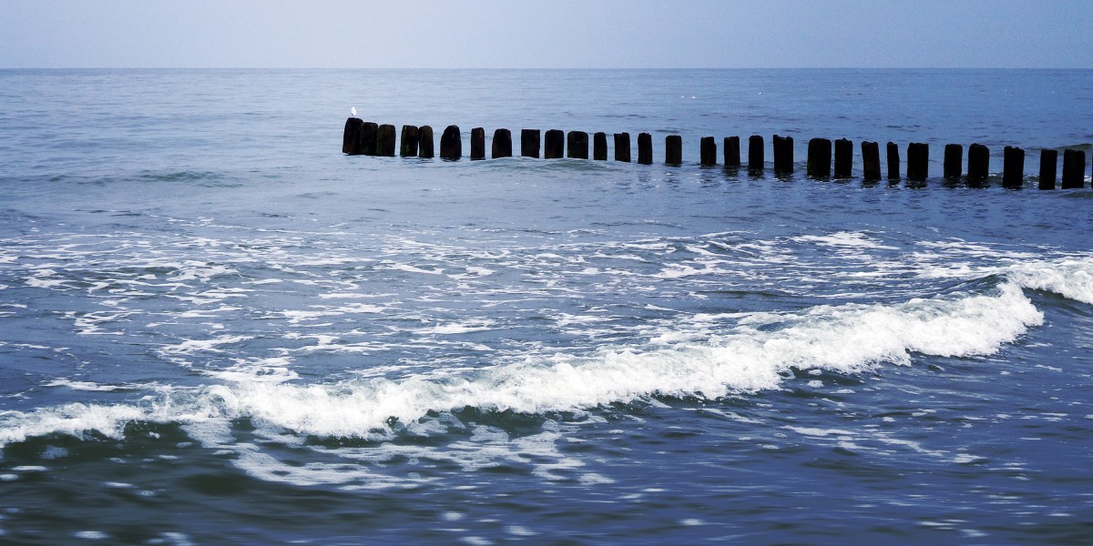 Exploring Canadian Pharmacy Modafinil: A Comprehensive Overview