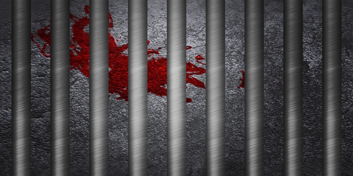 Understanding With out Credit Score Loans: A Complete Guide