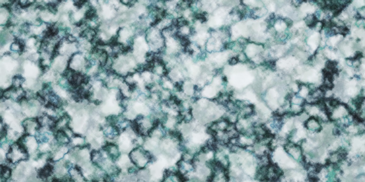 Exploring the Rise of Charter Jets: A Neighborhood Perspective