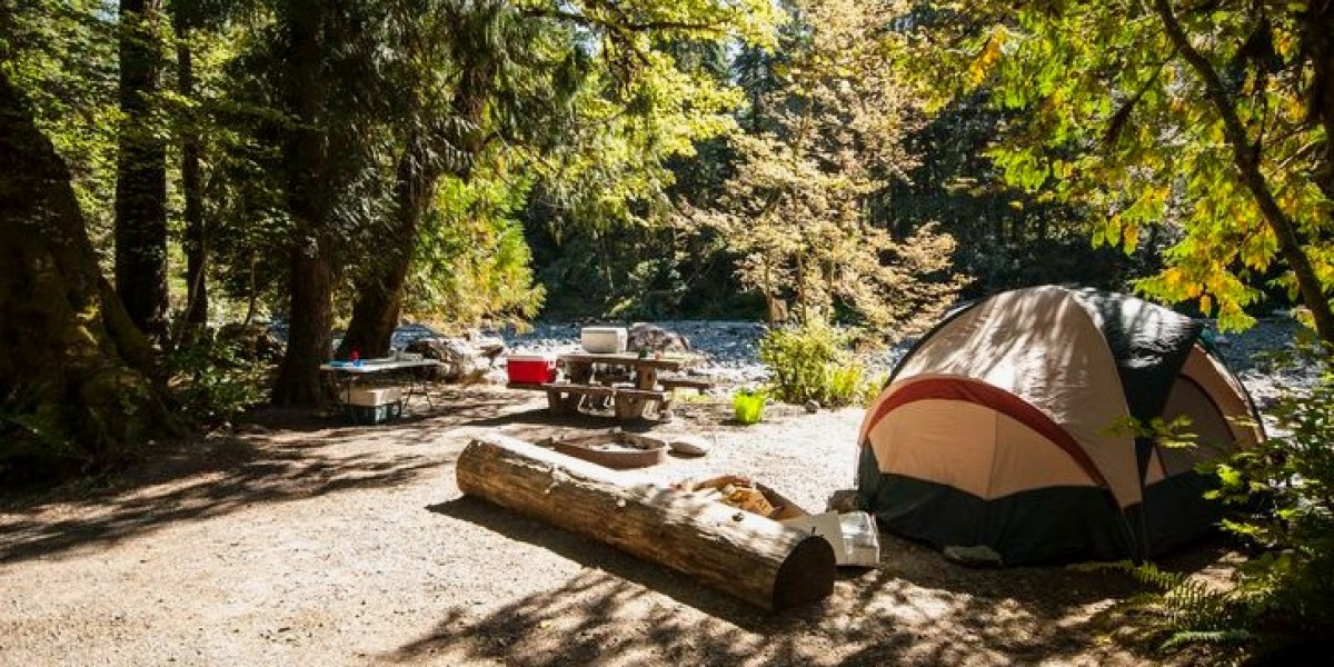 Discover Camping in Steinhatchee, Florida: A Hidden Gem for Outdoor Enthusiasts